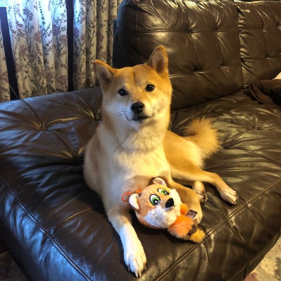 Meet your Posher, Meagan - Picture 4 of 5